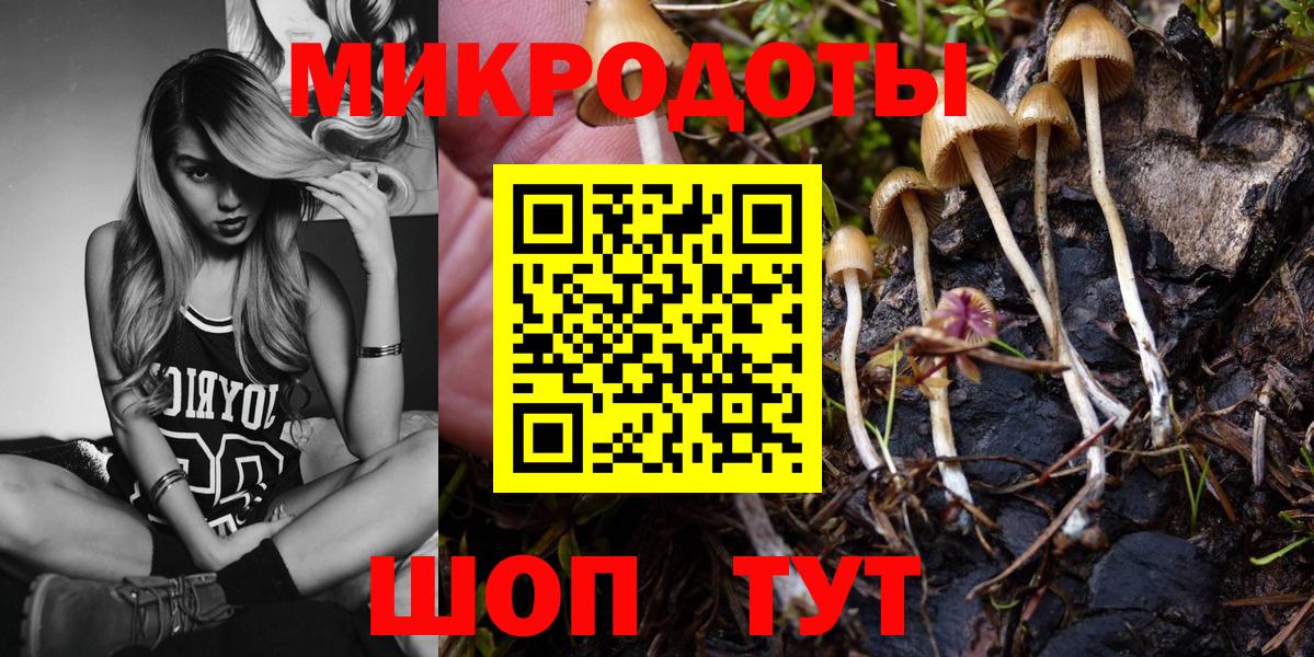Псилоцибиновые грибы прущие грибы Железноводск