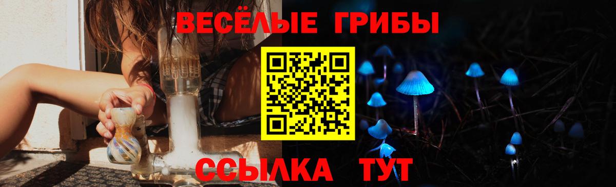 Псилоцибиновые грибы Psilocybe  Вход с VPN  Железноводск 